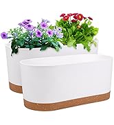 QCQHDU 2 Pack Window Planter Box 16” x 7", Self Watering Plant Pots for Indoor Plants Home Garden...