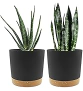 QCQHDU 8 inch Plant Pot, 2 Pack Planters for Indoor Plants with Drainage Holes & Saucer, Outdoor ...