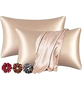 Viozy Satin Pillow Covers Set of 2 | Silk Pillow Cases for Hair and Skin | Satin Pillow Covers fo...