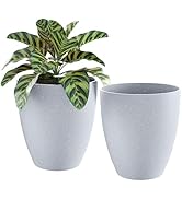 QCQHDU 10 inch Planters for Indoor & Outdoor Plants, 2 Pack Sturdy Plant Flower Tree Pots for Fro...