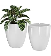 QCQHDU Plant Pots Set of 2 Pack,10 Inch Plant Pot for Indoor and Outdoor Plants with Drainage Hol...