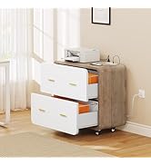 YITAHOME 2 Drawer File Cabinet, Storage Cabinet with Charging Station, Large Lateral Filing Cabin...