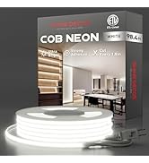 Shine Decor COB LED Neon Rope Light AC110-120V 98.4ft, 800lm Ultra Bright(6000K Cool White), IP65...