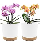 QCQHDU 8 inch Plant Pot, 2 Pack Planters for Indoor Plants with Drainage Holes & Saucer, Outdoor ...