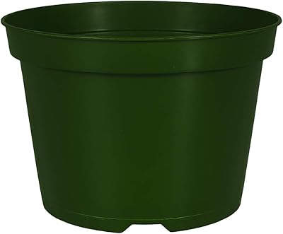 The HC Companies AZE06000B71C036LRT44 HCAZA06000B71 Nursery Pot, Green