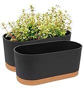 QCQHDU 2 Pack Window Planter Box 16” x 7", Self Watering Plant Pots for Indoor Plants Home Garden...