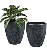 QCQHDU 10 inch Planters for Indoor & Outdoor Plants, 2 Pack Sturdy Plant Flower Tree Pots for Fro...