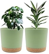 QCQHDU 8 inch Plant Pot, 2 Pack Planters for Indoor Plants with Drainage Holes & Saucer, Outdoor ...