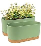 QCQHDU 2 Pack Window Planter Box 16” x 7", Self Watering Plant Pots for Indoor Plants Home Garden...