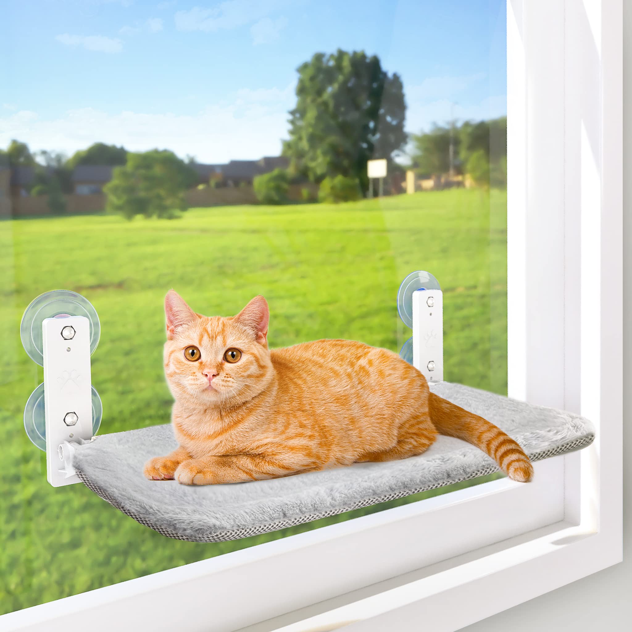 AMOSIJOY Cordless Cat Window Perch, Cat Hammock for Wall with 4 Suction Cups, Anchor&Screw for Two Ways of Installation, Solid Metal Frame and Two Covers, Foldable Cat Beds for Indoor Cats (Medium)