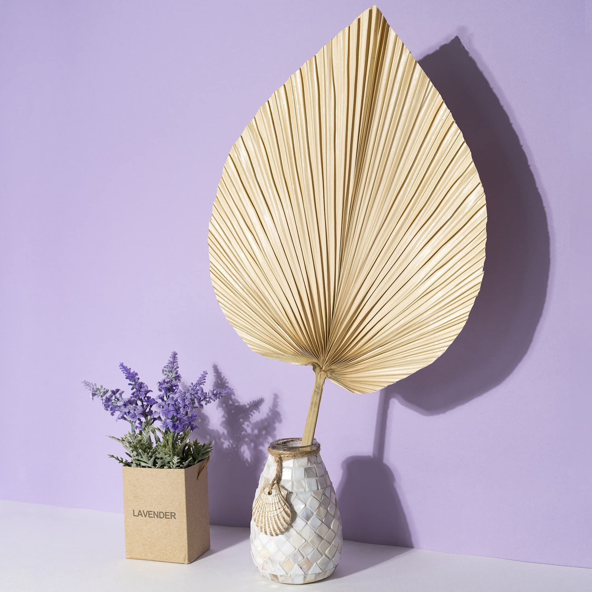 Buy Dried Palm Leaves Room Decor 5 Pieces 18