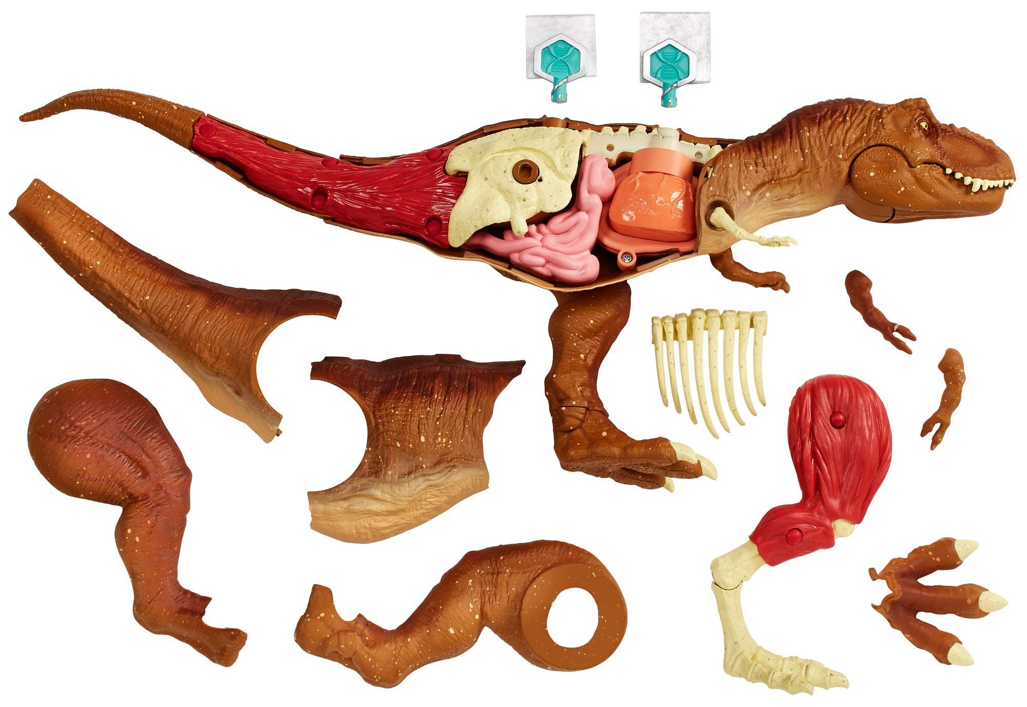 Buy jurassic world toys Mattel Stem Tyrannosaurus Rex Anatomy Kit ...