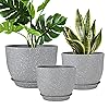 YNNICO Plant Pots 12 10 9 Inch Set of 3, Flower Pots with Multi Mesh Drainage Holes, Large Planters for Indoor Outdoor Garden Plants and Flowers (Gray)