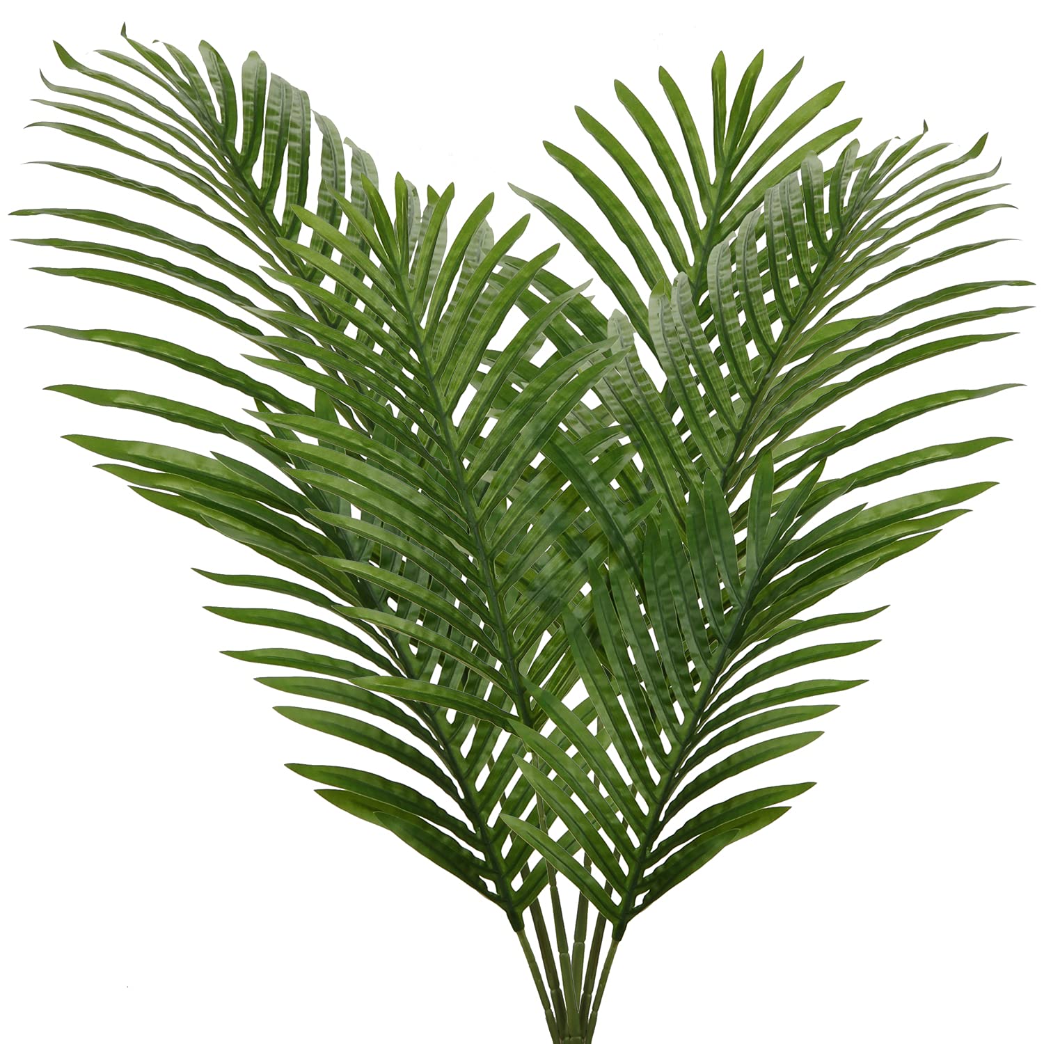 Palm Tree Leaves