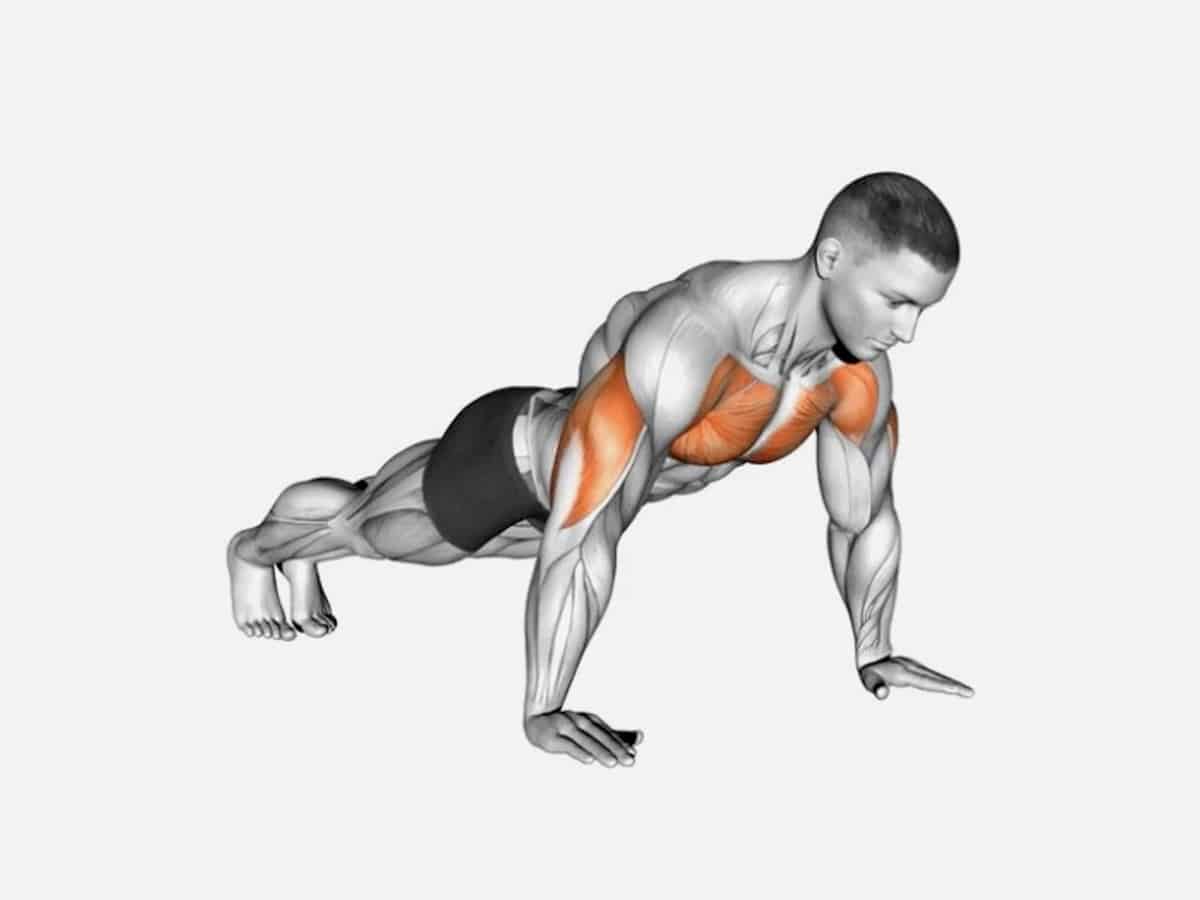 10 Best Tricep Exercises for Men | Man of Many