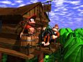 Donkey Kong and Diddy Kong at DK's Tree House