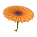 Flower Glider from Mario Kart Tour