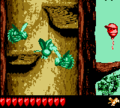 Donkey Kong Land III