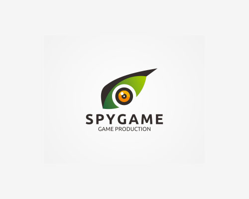 Eye Logo Design by Danoen