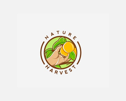 Fruit Logo Design by Jimjemr