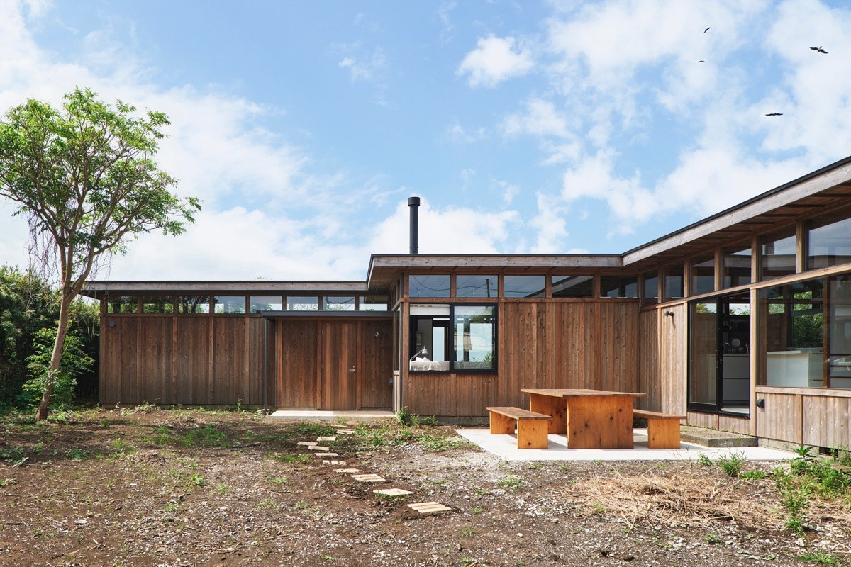 Image may contain Wood Building Housing Plywood House Animal Bird and Hardwood