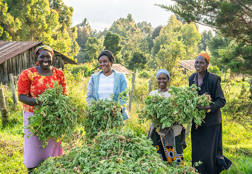 Kenyan farmers