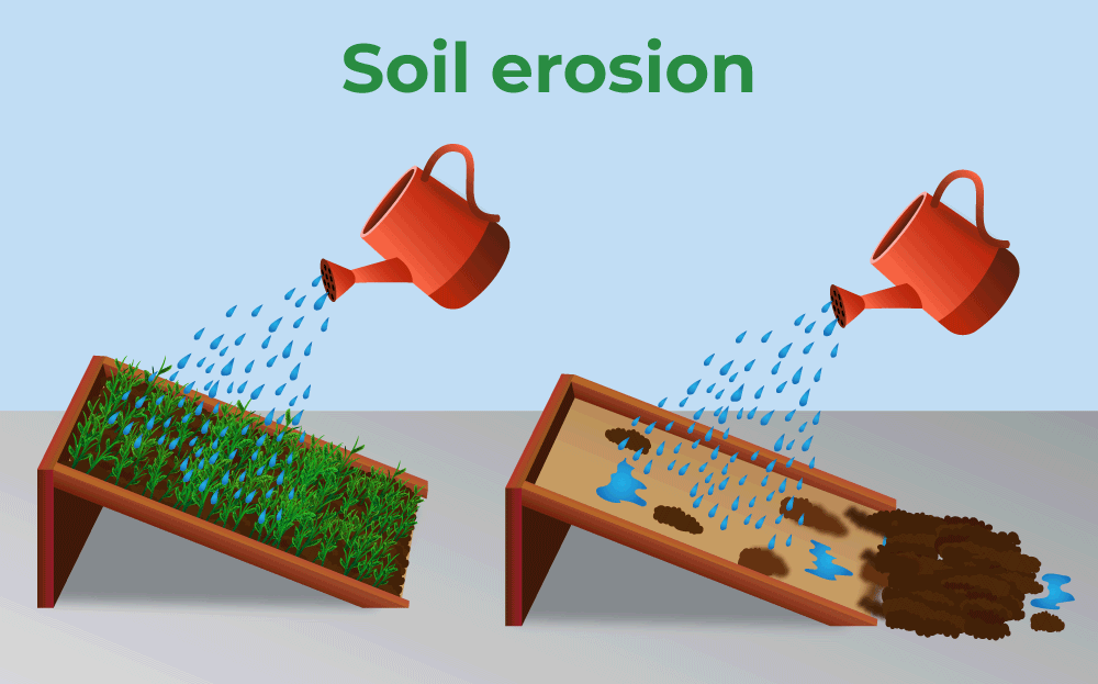 Soil Erosion Pictures