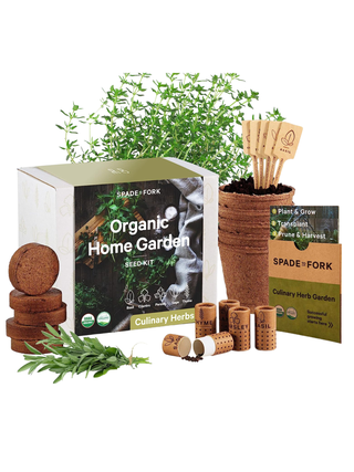 Spade to Fork Herb Garden Kit