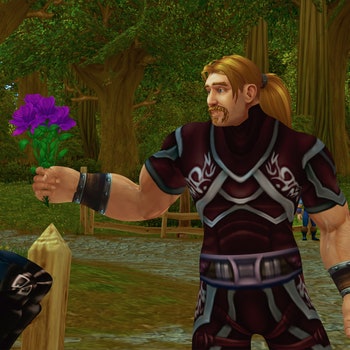 How The Remarkable Life of Ibelin reveals a terminally ill man's hidden life on World of Warcraft