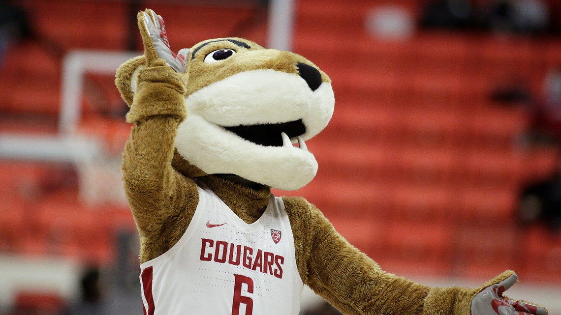 Cougar Football Mascot