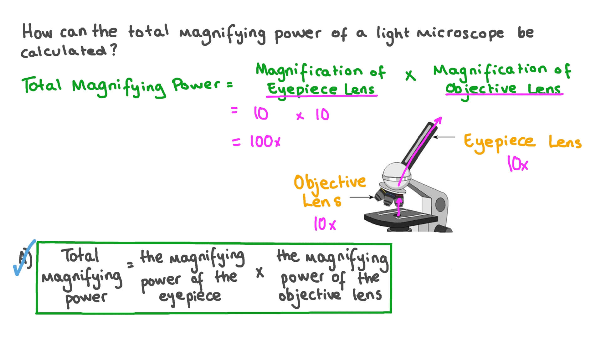 How To Calculate The Magnification Of A Microscope | vlr.eng.br