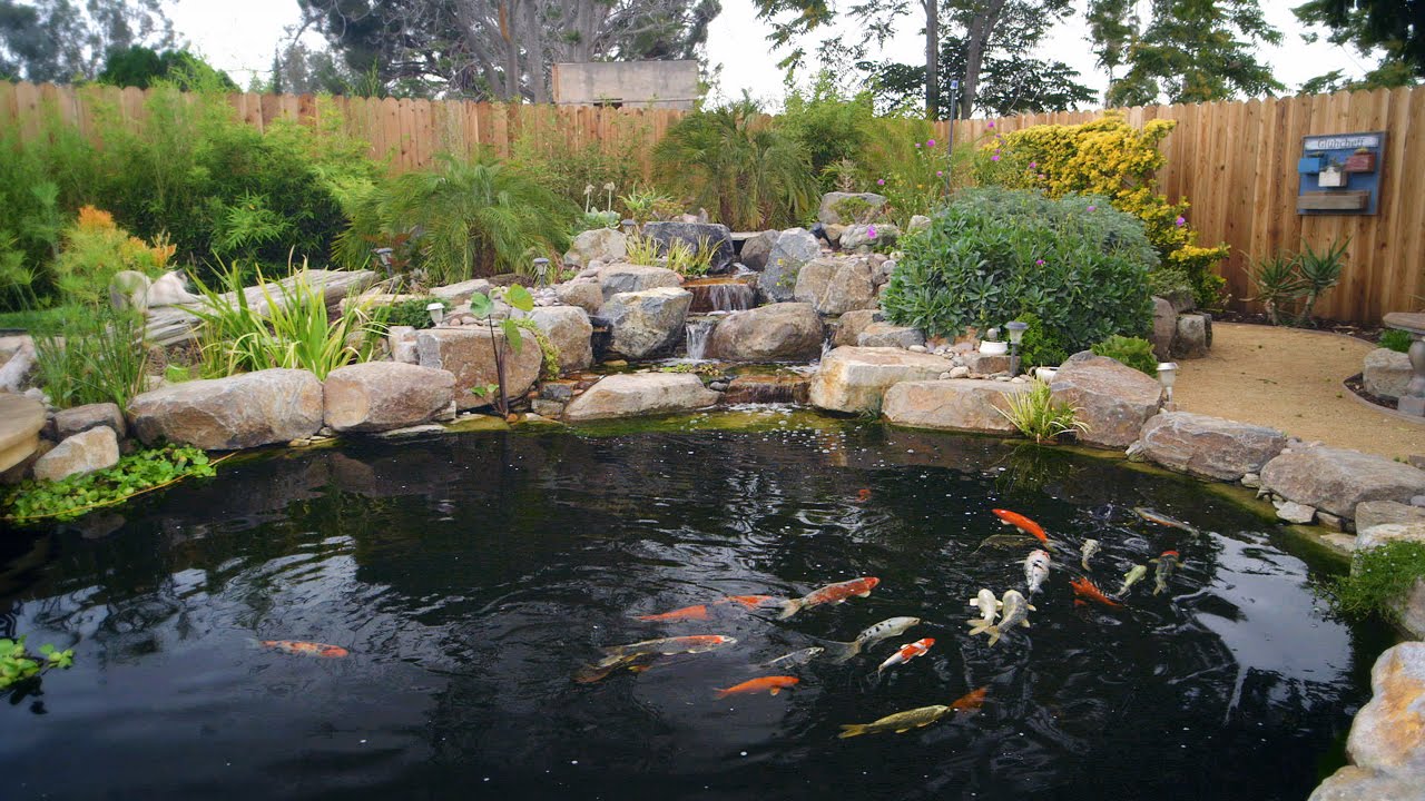 floatron for Koi Ponds and Fish Ponds - floatron Australia