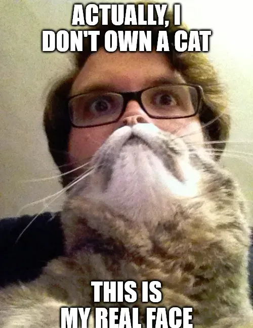 Surprised CatMan meme | ACTUALLY, I DON'T OWN A CAT; THIS IS MY REAL FACE | image tagged in memes | made with Piñata Farms meme generator