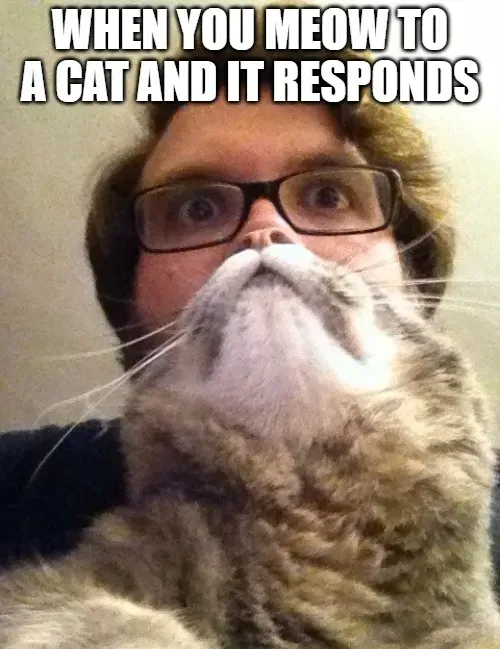 Surprised CatMan meme | WHEN YOU MEOW TO A CAT AND IT RESPONDS | image tagged in memes | made with Piñata Farms meme generator