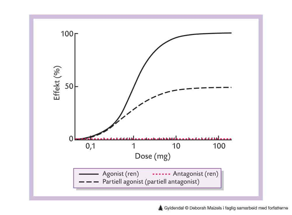 Agonist, antagonist og partiell agonist