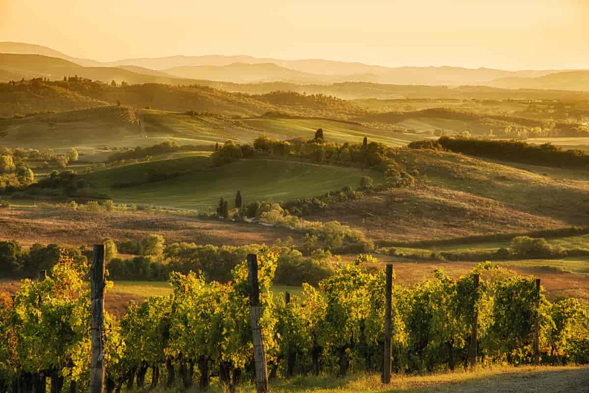 Italiensk landskap, Chianti