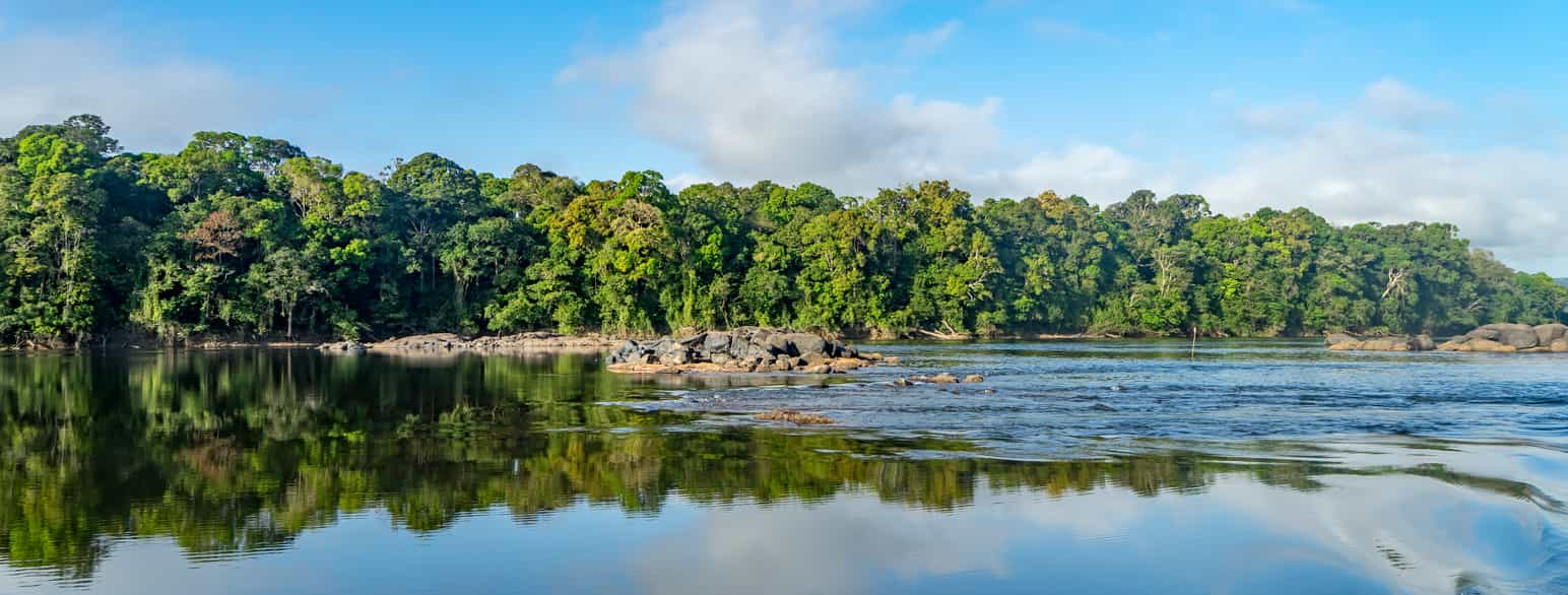 Elven Essequibo