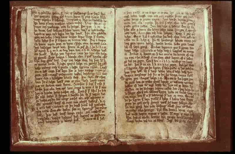 Codex Regius