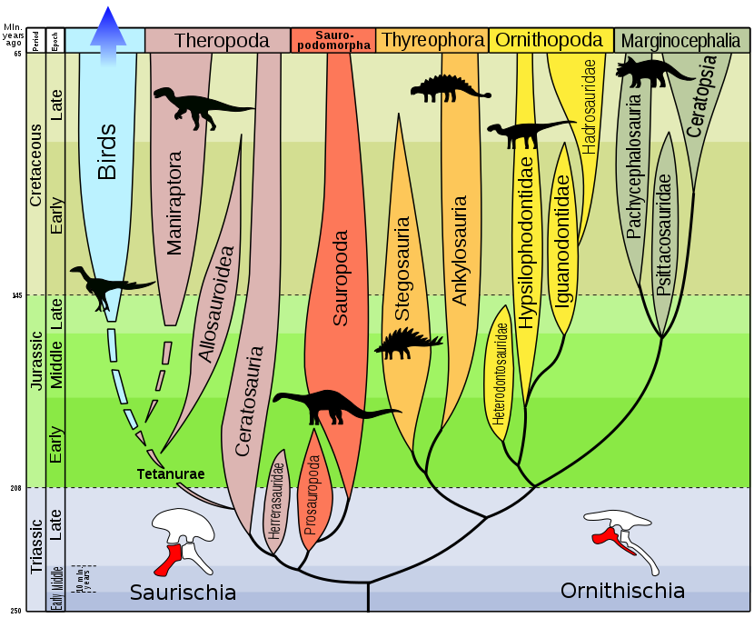 Dinosaur-utvikling