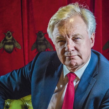 David Davis: Behind the man who told Boris, ‘In the name of God, go’