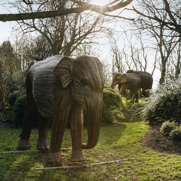 How the Duchess of Cornwall’s idea led to four life-size elephant sculptures arriving in Lord Carrington’s garden