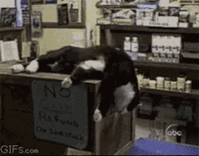 a black and white cat is laying on a counter with a sign that says no cash refund on lipstick