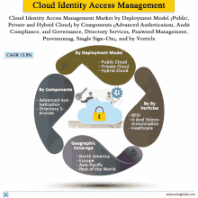 a diagram of cloud identity access management by components and by verticles