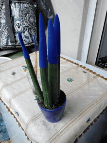 a blue and green plant in a blue pot sits on a table with a julia bag in the background