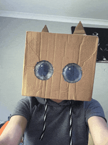 a person is wearing a cardboard box on their head