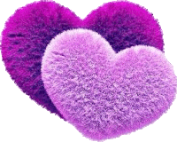 two purple fluffy hearts on a white background .