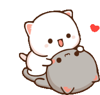 a white cat is sitting on top of a gray cat with a red heart in the background .