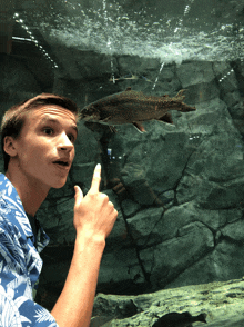 a young man is pointing at a fish in a tank