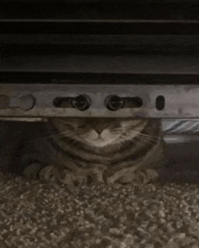 a cat is peeking out from underneath a piece of metal on the floor .