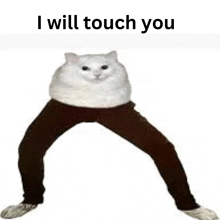 a white cat wearing brown pants with the words `` i will touch you '' written on it .